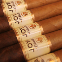 Joya de Nicaragua Cabinetta Corona Gorda Cigar - 1 Single